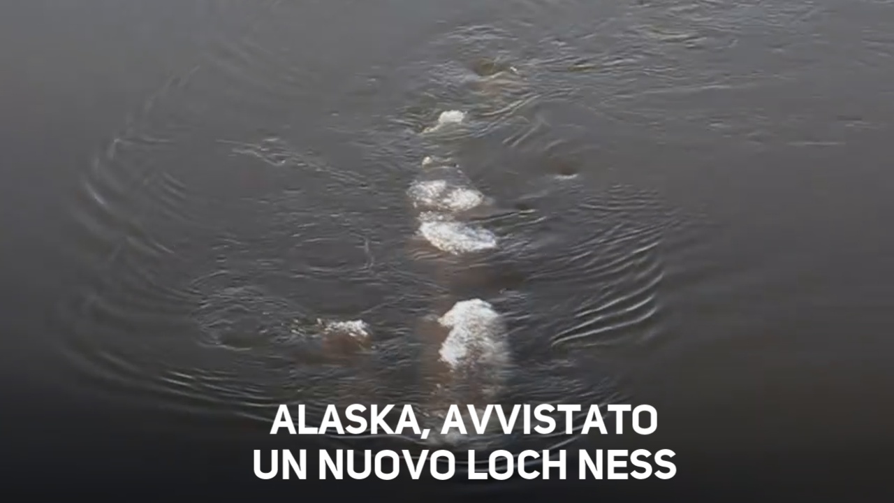 Alaska, mostro nel fiume: la Rete impazzisce